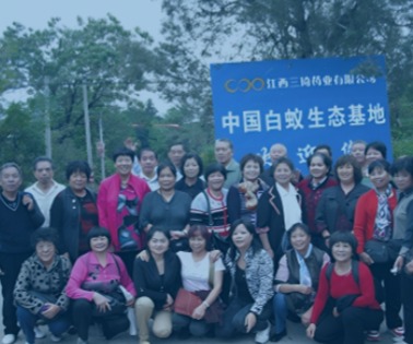 白蟻养殖基地