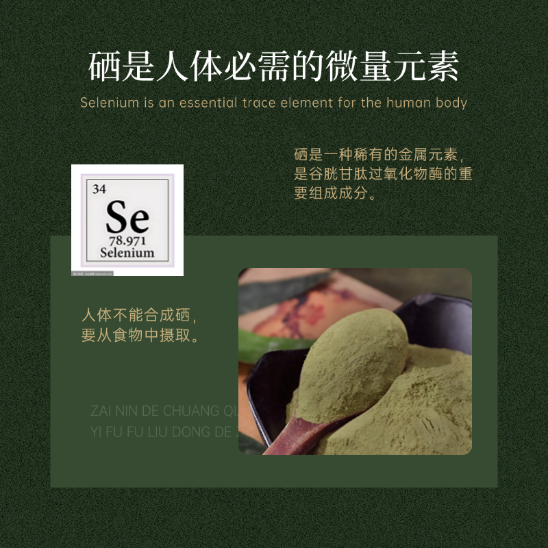 富硒桑叶粉